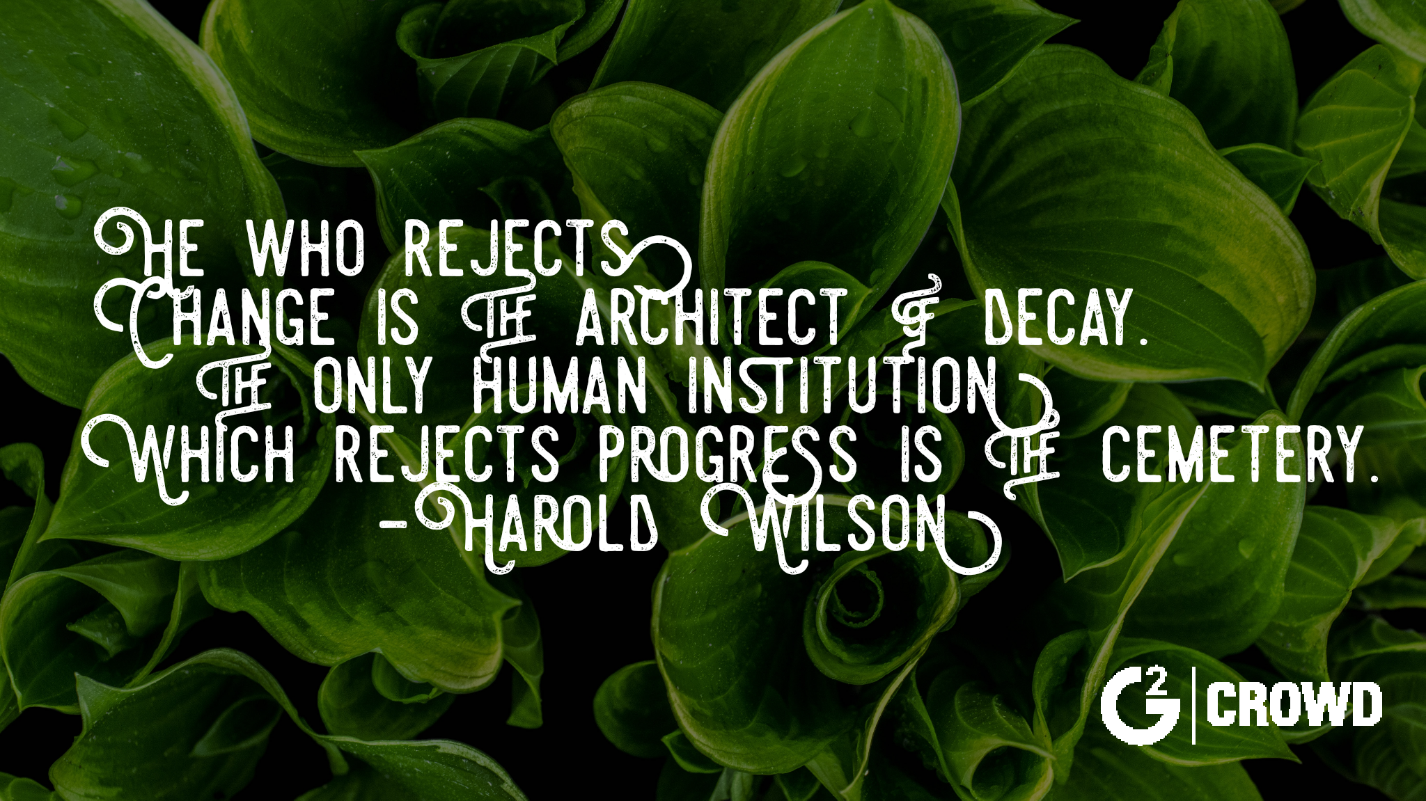 Quotes Quotes